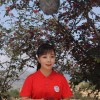 回到无人的村庄林阳最新章节更新内容