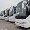 探秘梦幻的巴士车：免费观看神奇之旅