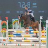 技巧娴熟的马术骑手：驾驭优雅马匹，化身骑士从冲。