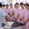 培养爱心与技能，打造动物护理专业人才