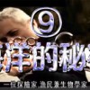小恶魔之谜：谁是幕后黑手，引爆恐慌情绪的真相待揭开？