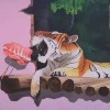 小七：一个让人忍不住爱上的温暖动画片主角