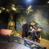 探寻部落男孩下载之旅：发现音乐之美和文化的奇异世界