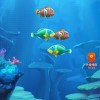 轻松水族馆破解版，让你畅游海底无尽乐趣