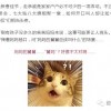 猜猜我是谁：我棱角分明，自由自在，却又常被束缚，我的名字，你知道吗？
