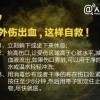 杜晴代表作《逃生指南》：逃离危机时的生存技巧指南书