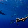 探索神秘海底世界，深海水族馆abyssrium官网等你发现！