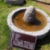 石器时代建筑师2024年最新动态：探索原始建筑艺术的未来发展方向