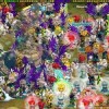 探寻梦幻之城国际服最新版本的魅力与魔法
