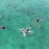 在无边际的网络海洋中自由冲浪：探寻网上冲浪的乐趣和挑战