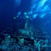 探秘神秘深海海底：未知生物群落与奇幻景观震撼人心