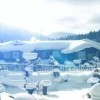 上海冰雪之星：冬日精彩时刻，体验极致冰雪乐趣