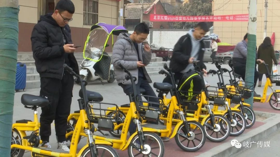 动物总动员电动车：携手环保，共享绿色出行新时代