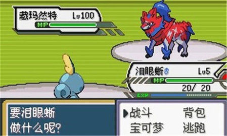 探索神奇宝贝剑盾手机版，带你进入奇妙的口袋世界