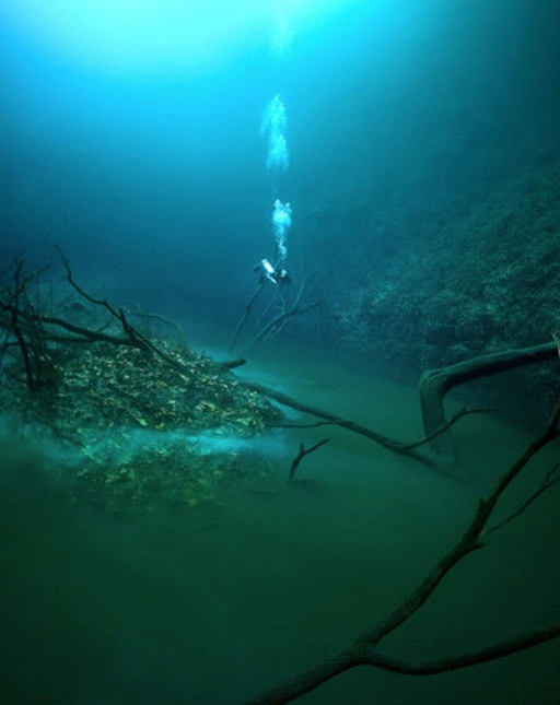 探秘深海之下：神秘生物、未知景观和隐藏宝藏等等。