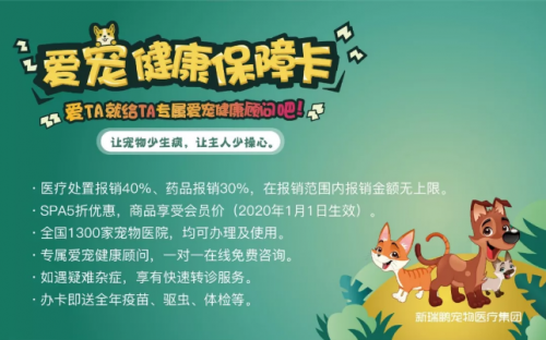 宠物医疗与护理：为你的毛孩提供全面的健康服务和关怀