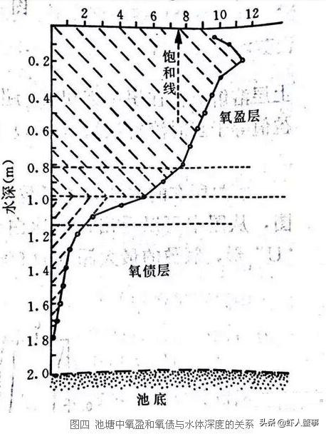 缺氧有手机版移植：如何应对高海拔环境中的氧气不足问题