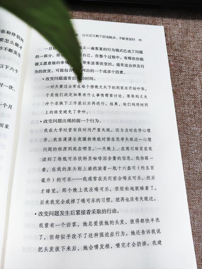 四种木材混乱类型和应对策略：你绝对不能错过的解决方法