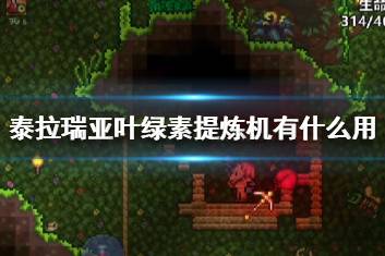 探索新世界：泰拉瑞亚联机版1.4即将推出，全新冒险等你来挑战