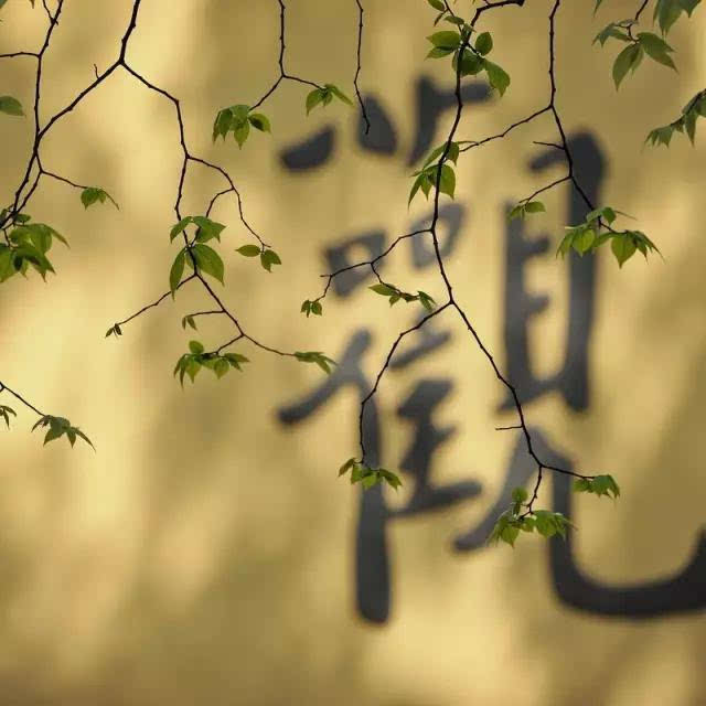 无事小神仙：闲庭信步，笑看红尘，心静如水，从容自在，佛系生活态度。