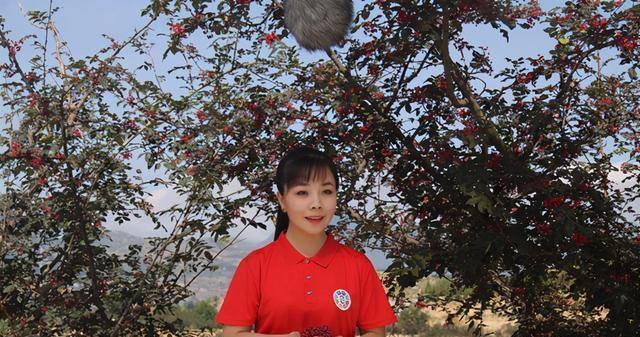 回到无人的村庄林阳最新章节更新内容