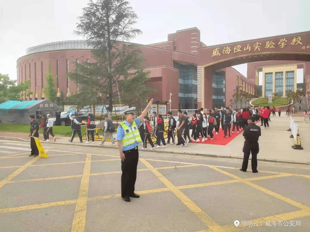 紧急救援！海贼王热血航线上的生死抉择