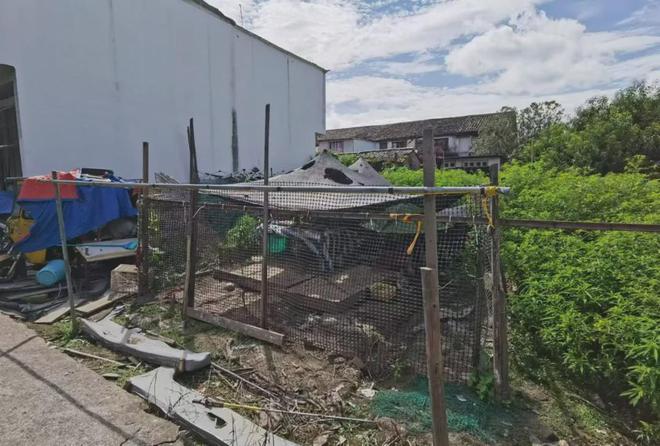 专业后室拆迁队：安全高效拆除建筑不用愁