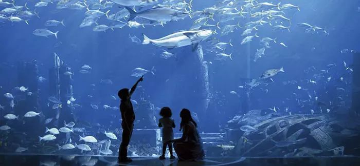 探秘神秘深海世界：深海水族馆中文版官网