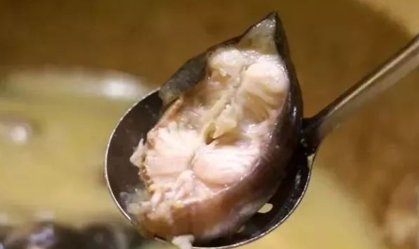 如何利用鱼吃鱼无限盛宴bug来获得无穷财富？