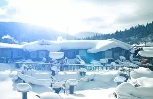 上海冰雪之星：冬日精彩时刻，体验极致冰雪乐趣