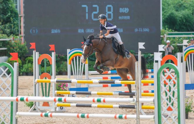 技巧娴熟的马术骑手：驾驭优雅马匹，化身骑士从冲。