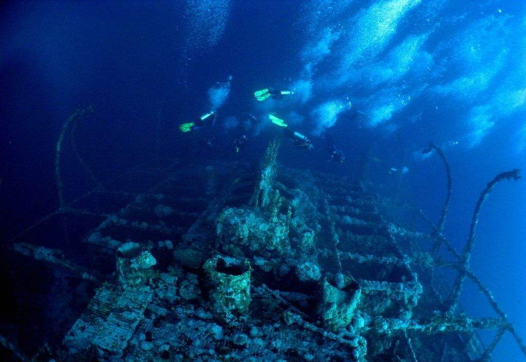 探秘神秘深海海底：未知生物群落与奇幻景观震撼人心