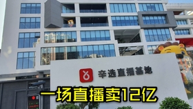 网红辛巴公司总部在哪里？寻找这家风靡网络的企业总部位置