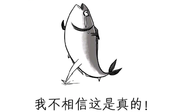 《老太太的咸鱼人生》：一个不起眼却意外精彩的故事 - 寒小期
