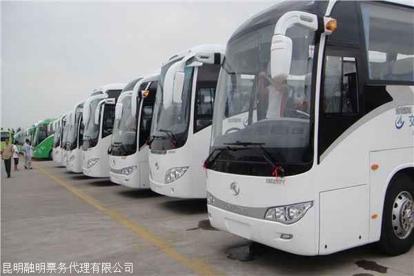 探秘梦幻的巴士车：免费观看神奇之旅