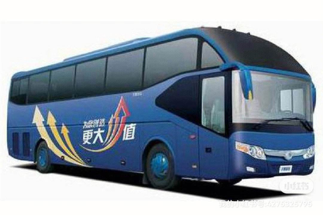探秘梦幻的巴士车：免费观看神奇之旅
