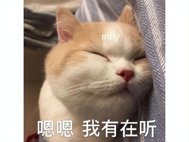 萌萌哒！打动你的心，香蕉猫猫表情包大放送！
