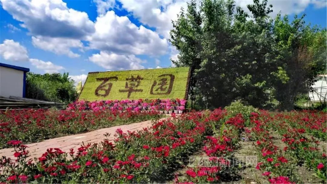 探寻神农百草园官方正版下载，畅快体验养生之旅