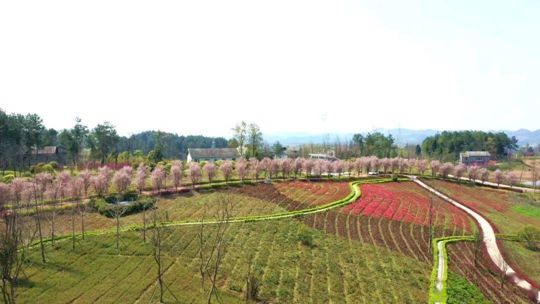探寻神农百草园官方正版下载，畅快体验养生之旅