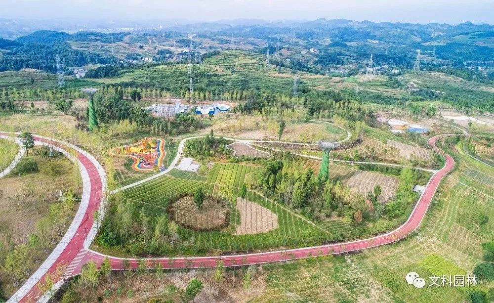 探寻神农百草园官方正版下载，畅快体验养生之旅