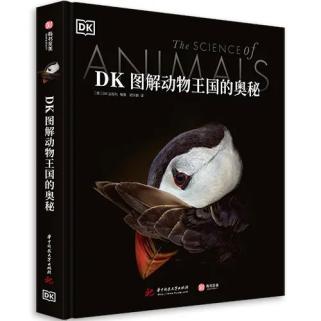 揭开神秘的面纱，猜猜我是谁：插上图片一切揭晓