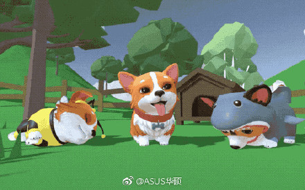 宠物快跑，给你的毛茸小伙伴们一个健康的活力释放通道