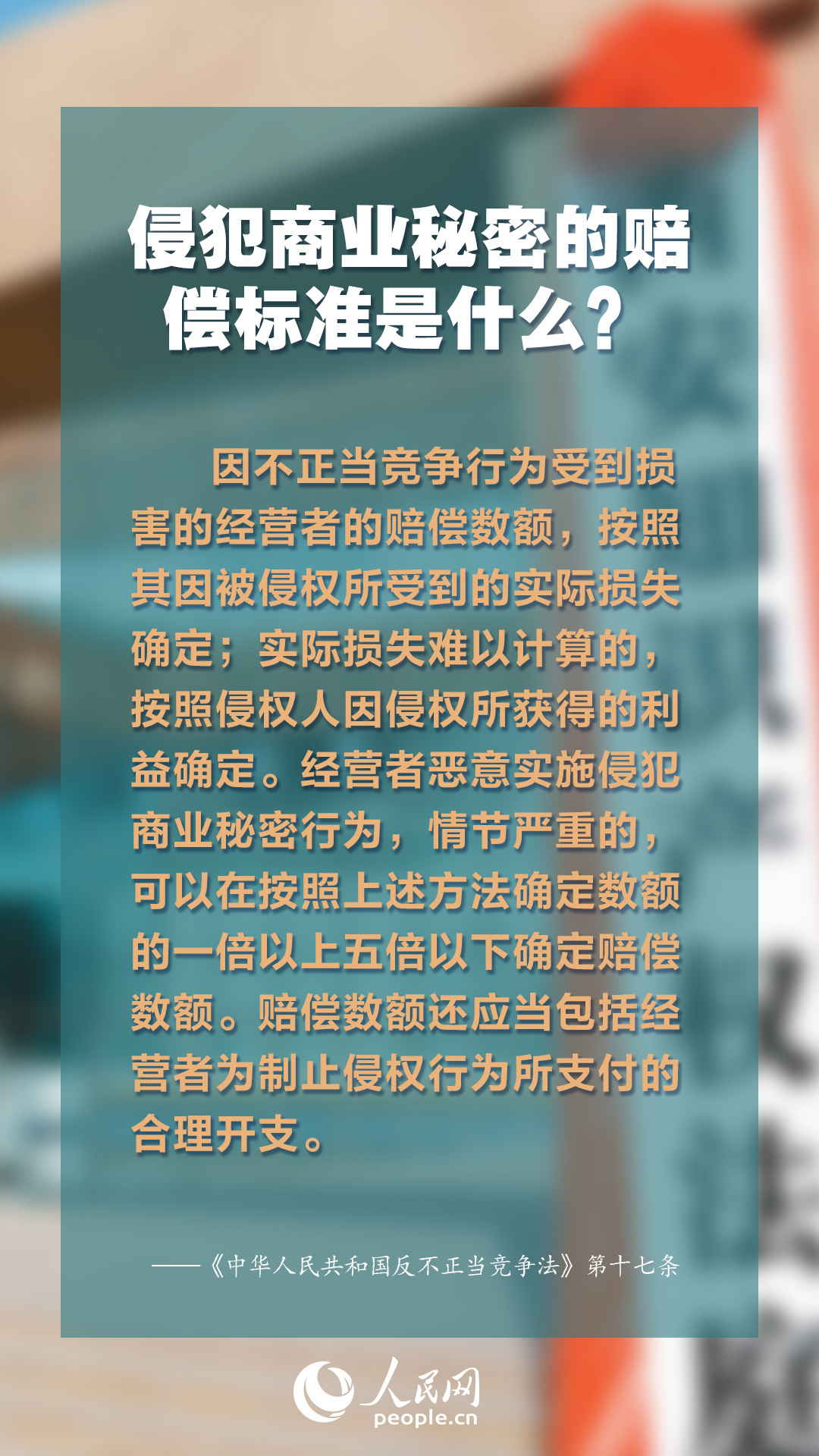 探讨标本零下载对于知识产权保护和数字内容传播的影响