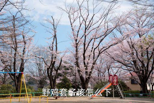 迎接春天的气息，樱花校园1.039.01版本全新上线！