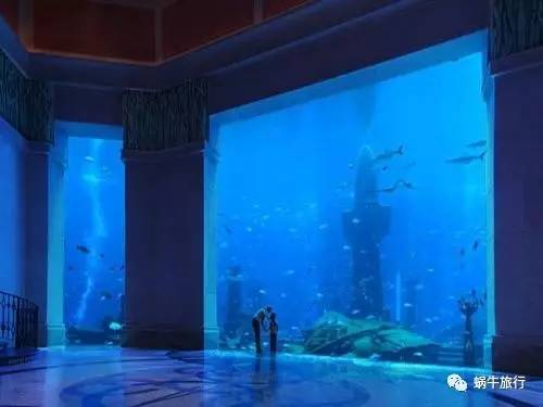 轻松水族馆2025最新版：全新展品展示，打造全新水上世界体验