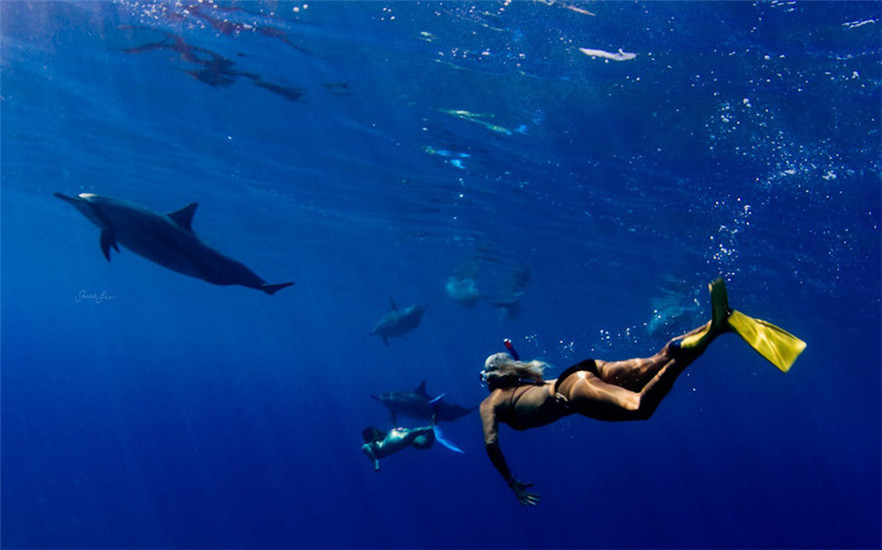 探索神秘海底世界，深海水族馆abyssrium官网等你发现！