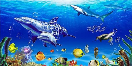 探索神秘海底世界，深海水族馆abyssrium官网等你发现！
