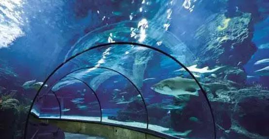 探索神秘海底世界，深海水族馆abyssrium官网等你发现！