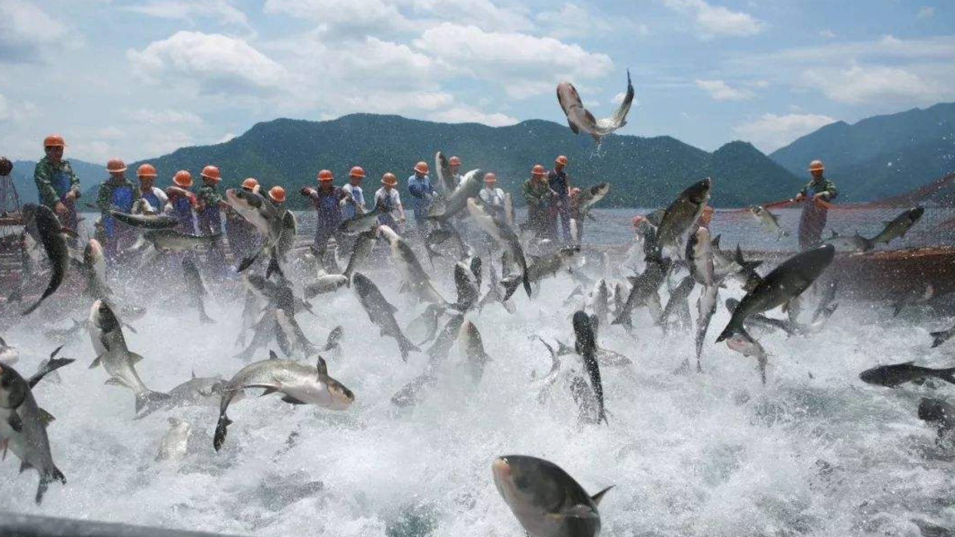 真实版钓鱼游戏：挑战湖泊、河流和大海中的巨物，体验刺激的捕鱼乐趣